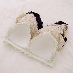 Hoppy Poppy! V2.0 Seamless Lightly-Lined Lace Bralette in Oatmilk